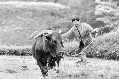 mont.leigong039_Nik_Nik_DxO