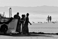 IMG_2533