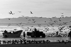 IMG_2582