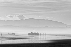 IMG_2708